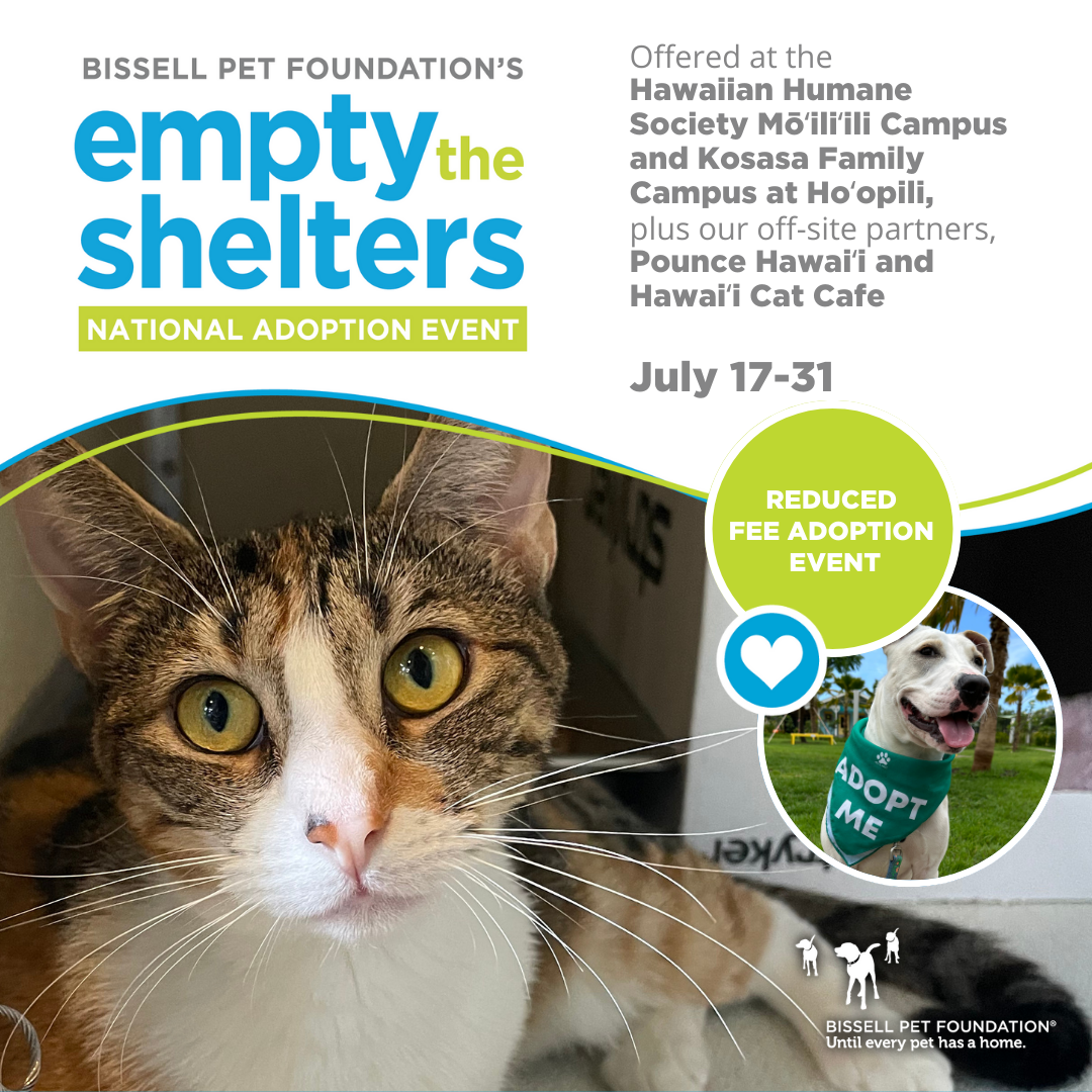 Empty The Shelters Adoption Event : Hawaiian Humane Society