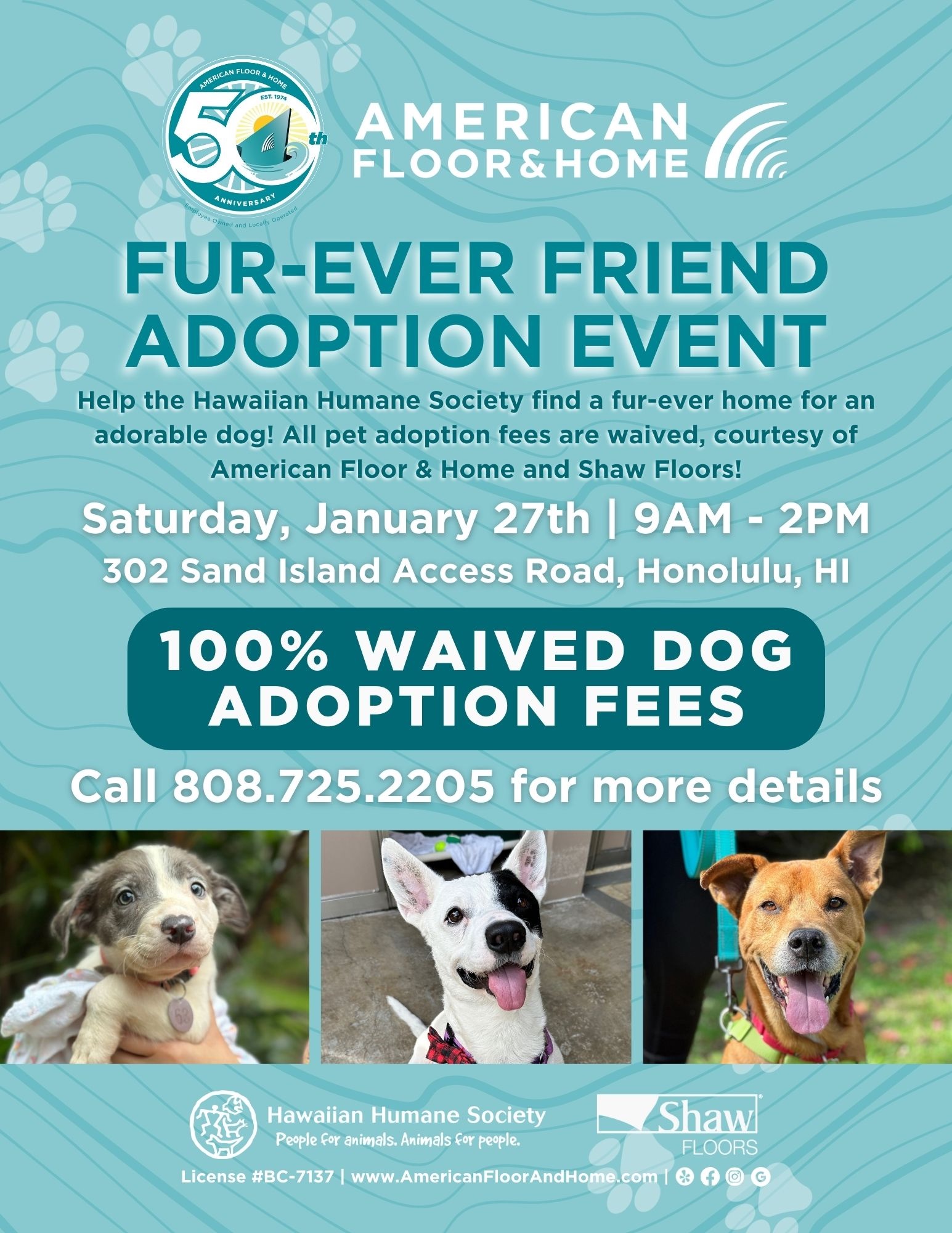Dog Adoption Event at American Floor & Home Hawaiian Humane Society