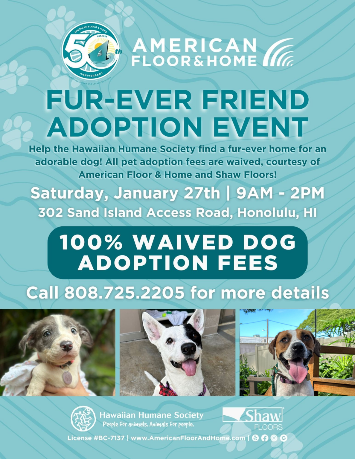 Dog Adoption Event at American Floor & Home : Hawaiian Humane Society